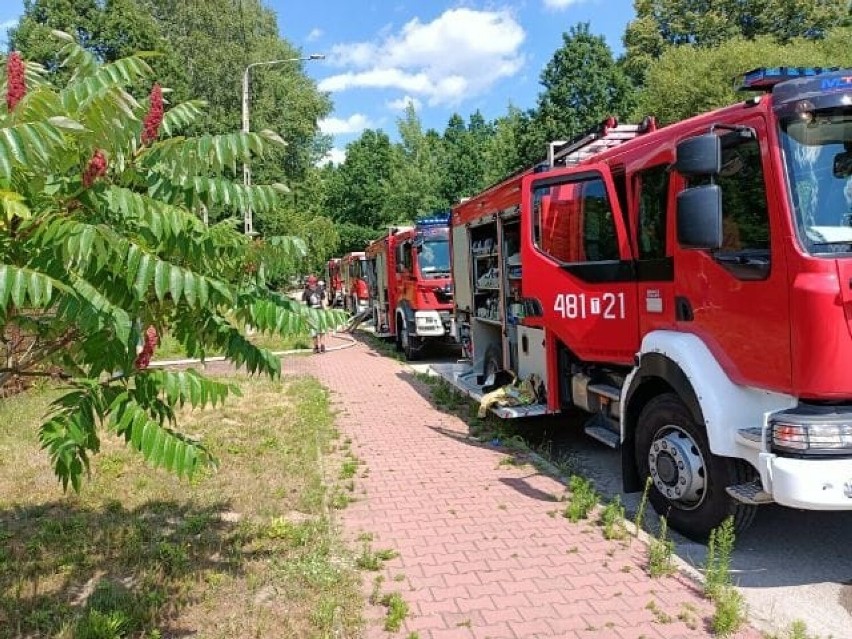 Pożar domu w Skarżysku-Kamiennej. Strażacy walczyli z żywiołem. Zobacz zdjęcia