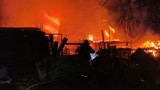 Pożar domu letniskowego na Paluchu w Warszawie. Z ogniem walczyło 18 zastępów straży pożarnej