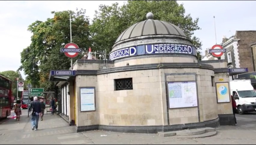 Koty opanowały metro. Zastąpią reklamy na londyńskiej stacji...