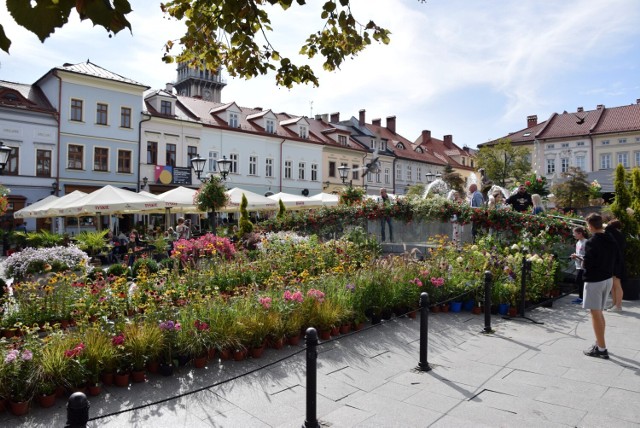 Bielsko-Biała drugi rok z rzędu zostało uznane najpiękniej ukwieconym miastem. Rok temu z racji zwycięstwa bielski Rynek tonął w kwiatach. W tym roku ma być jeszcze piękniej