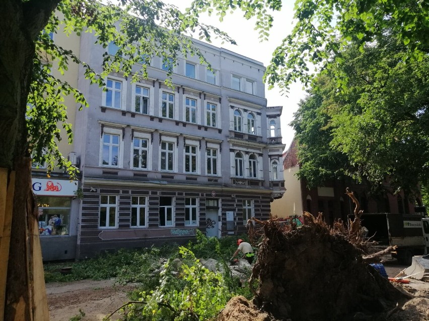 Drzewo upadło opierając się koroną o budynek Urzędu...