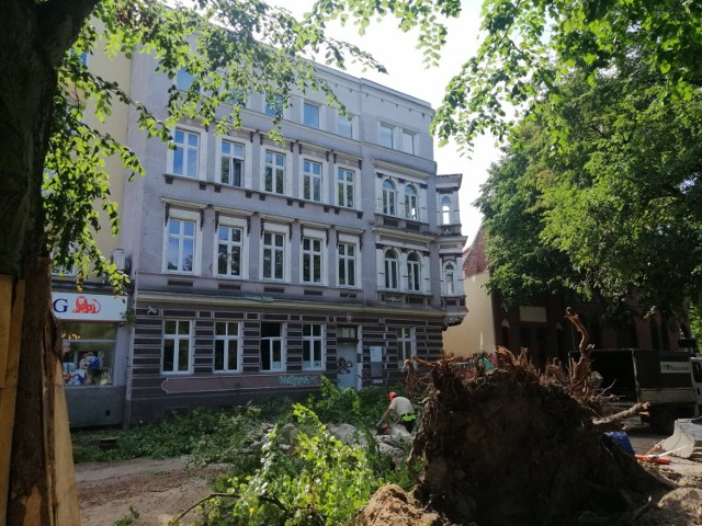 Drzewo upadło opierając się koroną o budynek Urzędu Skarbowego