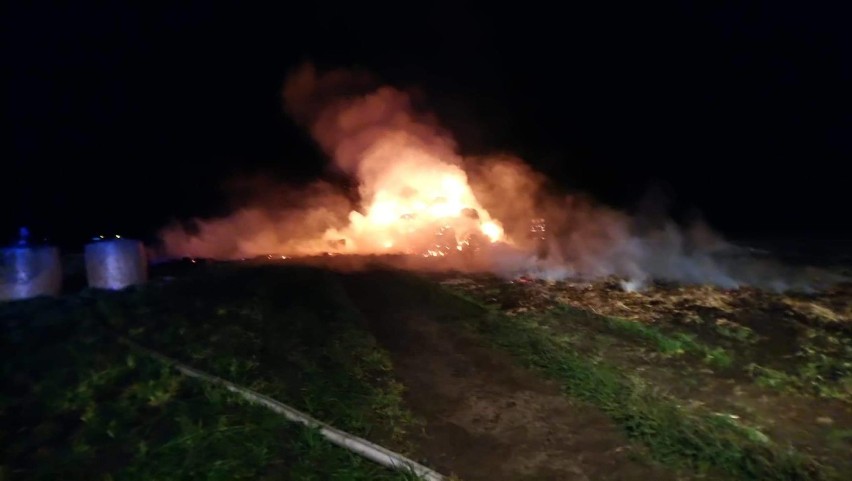 Pożar pod Gołańczą. Interweniowali strażacy z OSP