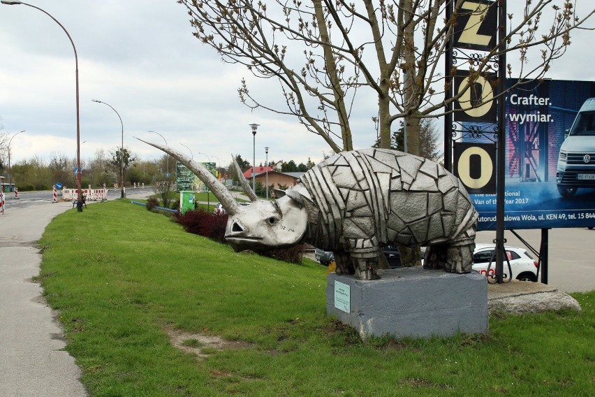 Zoo w Zamościu. Majówkowe lenistwo zwierząt. Zobacz zdjęcia