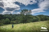 Wirtualny Bieg Rzeźnika w Bieszczadach. Trym razem w innej formie