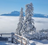 Schronisko na Przehybie w zimowej odsłonie. Magiczne widoki ze szczytu Beskidu Sądeckiego z Tatrami w tle. Chcą tam postawić taras widokowy