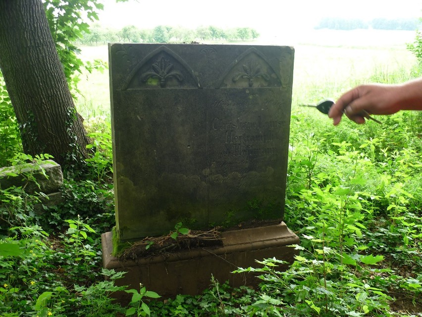 Likwidacja cmentarza w Sobocie. Władze gminy zapewniają, że to tylko porządki