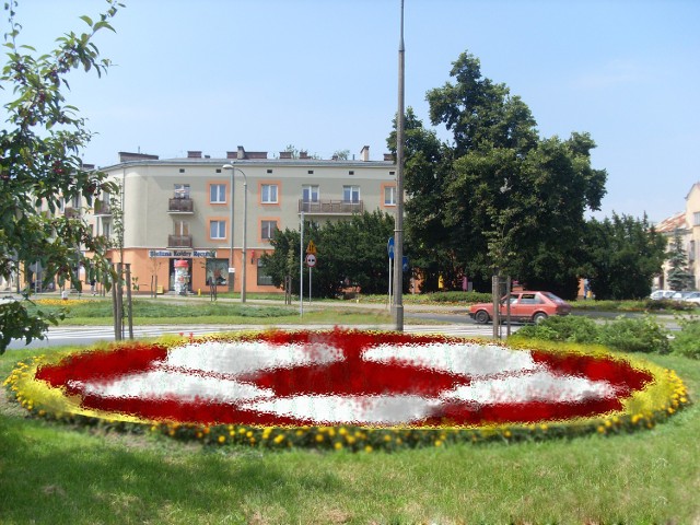 Kwiatowa rabata u zbiegu ulicy Piłsudskiego i Centralnej.