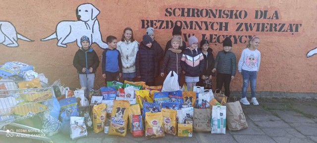 Uczniowie przekazali karmę i koce dla łęczyckiego schroniska