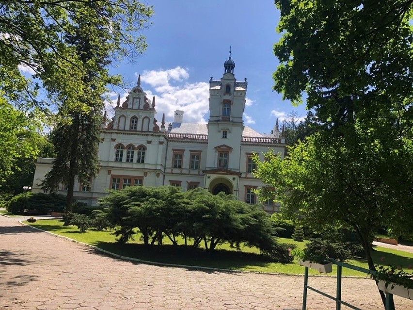 Park w Przytoku to m.in. staw, 300-letnie drzewa, pałac i...