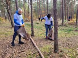 Tony śmieci w pilskich lasach i na terenach zielonych