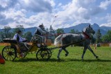 Góralskie konie i zawody w powożeniu na otwarcie Festiwalu Folkloru Ziem Górskich