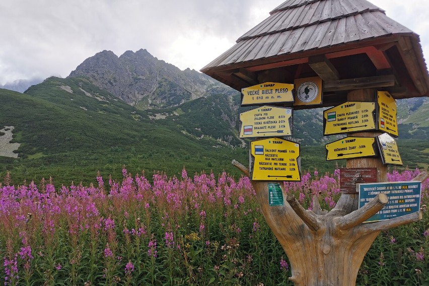 Tatry - Tatrzańska Kotlina...