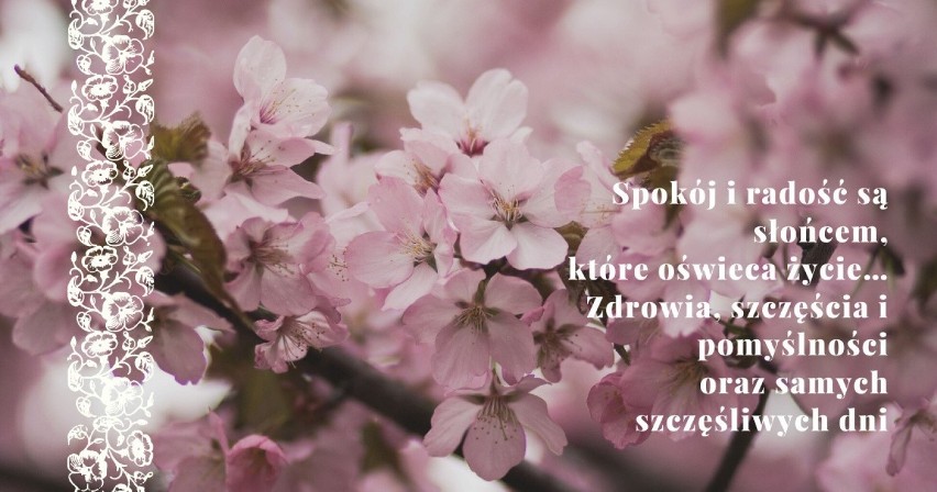 Imieniny Katarzyny: najlepsze życzenia imieninowe, poważne, śmieszne wierszyki na imieniny Katarzyny