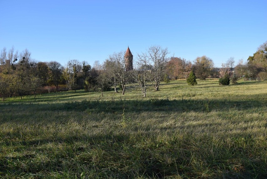 Malbork. Plac zabaw nad Nogatem czeka na wykonawcę. W kolejce ustawiły się cztery firmy. Czy maluchy zdążą się tam pobawić, nim dorosną?