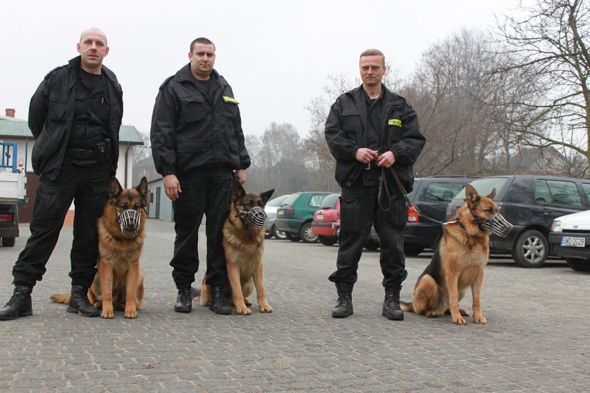 Nasi policjanci na czterech łapach!