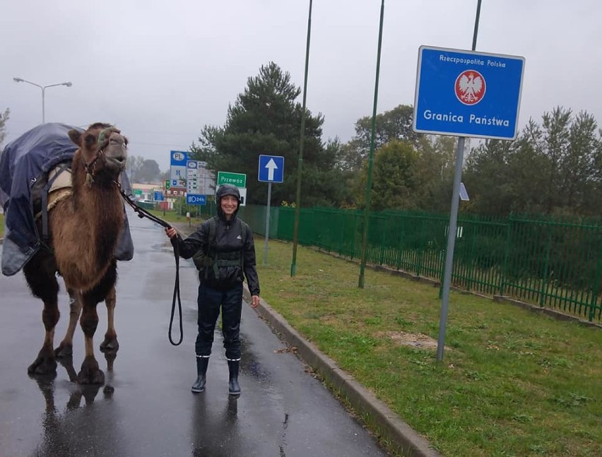 Kobieta podróżuje z wielbłądem przez Europę