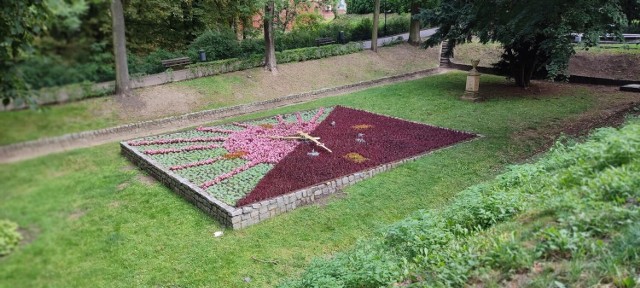 Tak pracownicy zieleni miejskiej w Chełmnie ozdobili dywany na plantach i inne miejsca w Chełmnie