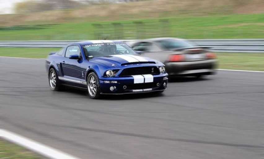 40 Fordów Mustangów przyjedzie do Poznania na targi Motor...