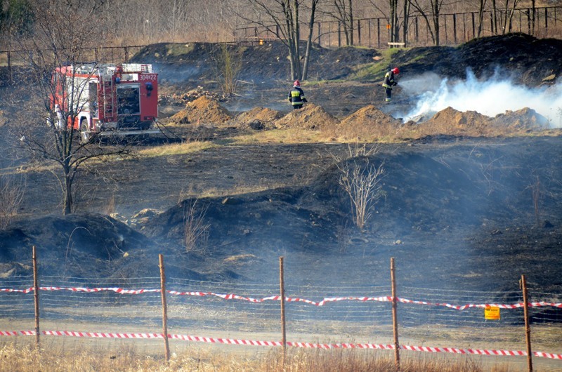 Wrocław: Wypalają trawy pod nową inwestycję - pisze internautka