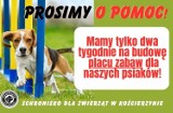 Potrzebne pieniądze na budowę placu zabaw dla psów w kościerskim schronisku. Ruszyła zbiórka!