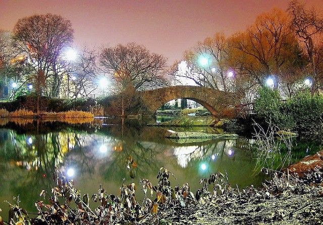 Nowojorski Central Park jest  zamykany na noc. Czy podobnie będzie w parku Żeromskiego?