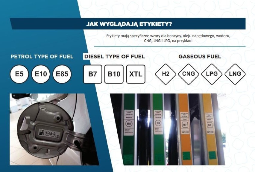 E5, E10 i B7 zamiast Pb98, Pb95 i ON? Unia wprowadzi nowe oznaczenia na stacjach benzynowych!