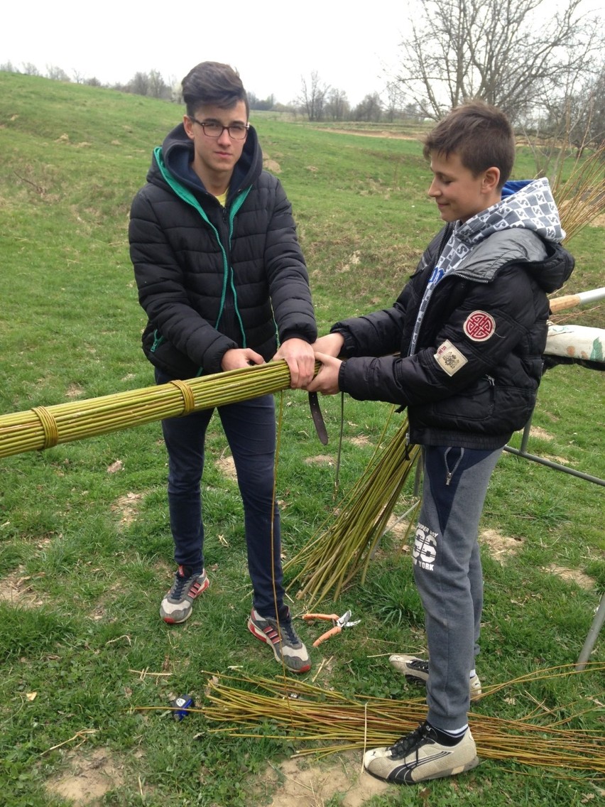 Mateusz i Piotr Leszczyńscy przygotowują palmę