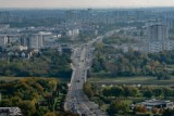 Dwa miasta w Wielkopolsce wśród najzdrowszych w Polsce! Znalazły się w czołówce znanego rankingu