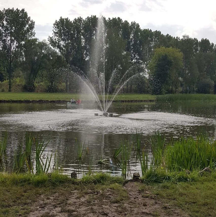 Czeladź: nowa podświetlana fontanna w Parku Grabek. Będzie też tężnia [ZDJĘCIA] 