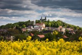 Harmonogram uroczystości na Górze Świętej Anny. Jakie pielgrzymki odbędą się w 2023 roku?