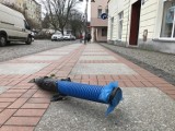 Na ulicy Bema w Słupsku od lat wystaje przewód