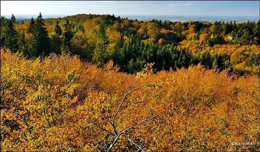Jesienna panorama Kaszub z Wieżycy