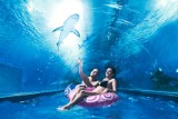 Aquapark Reda – edukacyjna podróż do świata pełnego przygód