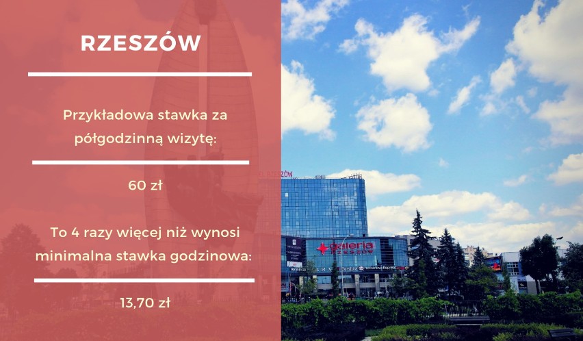 Na tle sześciu miast wojewódzkich (Warszawy, Poznania,...