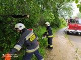 Burze i ulewny znowu dają o sobie znać. Strażacy intrweniują m.in. w Strożnej, Jankowej, Bobowej [ZDJĘCIA]