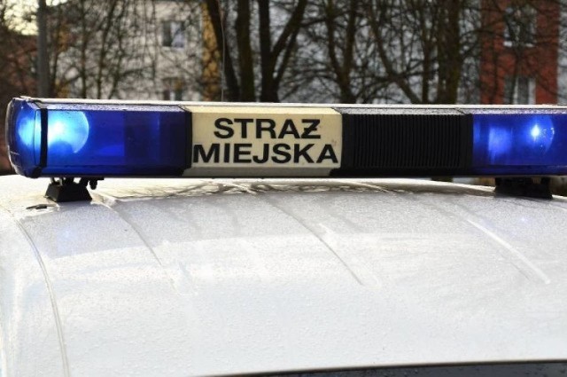 Akcja straży miejskiej w centrum Włocławka