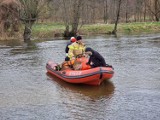 Akcja poszukiwawcza za 36-latką na rzece Wieprz 