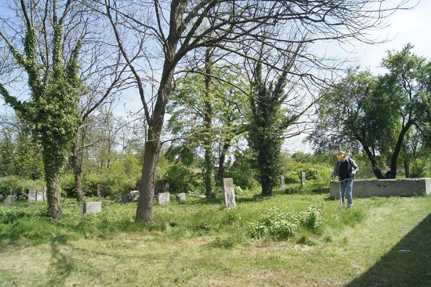 Mieszkańcy partnerskiego Hamm sprzątają kaliski cmentarz