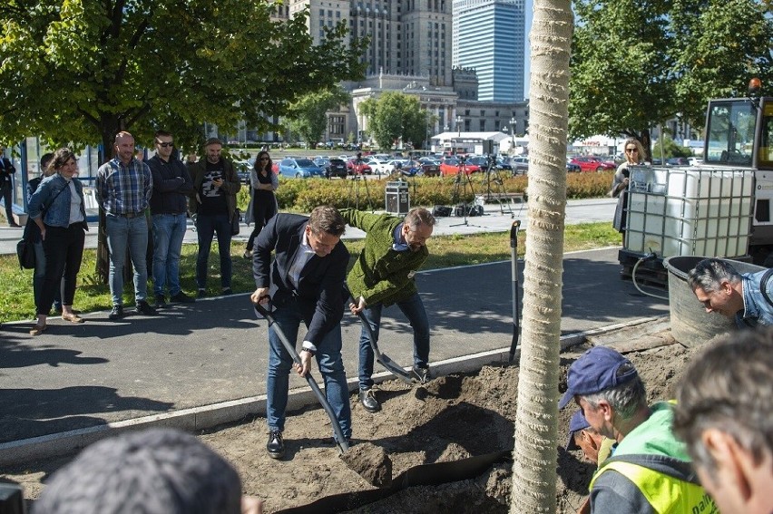 ,Nowe Centrum Warszawy. Rafał Trzaskowski zapowiada 118 dużych drzew do końca roku