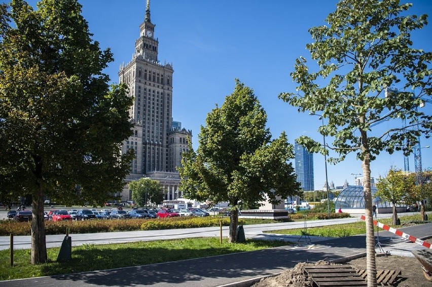 ,Nowe Centrum Warszawy. Rafał Trzaskowski zapowiada 118 dużych drzew do końca roku