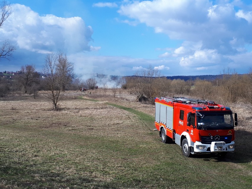 Pożar traw na osiedlu Gądki w Jaśle. Strażacy musieli gasić podpalone nieużytki przy Wisłoce [ZDJĘCIA]