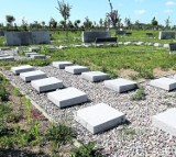 Cmentarz przy ul. Bronowickiej zarośnięty i zaniedbany [wideo]