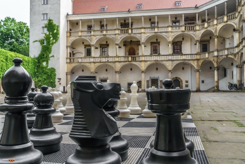 Przepiękne zdjęcia Zamku Piastów Śląskich wykonane przez...