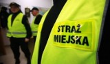 Pruszcz Gdański: Strażnicy miejscy rozwożą herbatę i częstują osoby czekające na autobus! Tak będzie do piątku