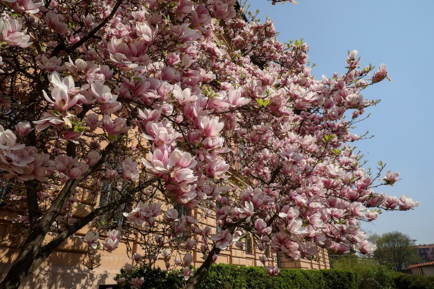 Kraków. Dom dla seniorów przy ul. Helclów nowocześniejszy