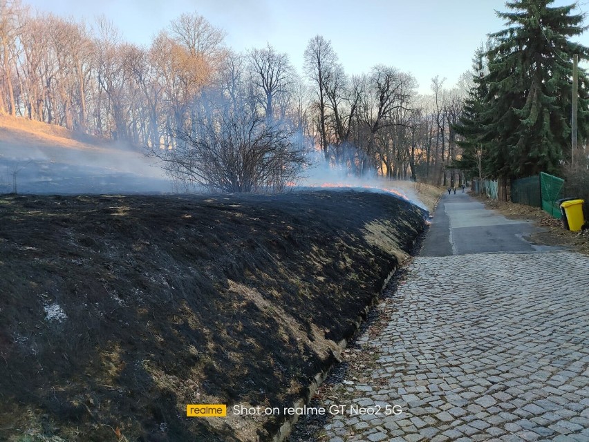 Pożar na Chełmcu w Wałbrzychu. Strażacy i turyści bronili...