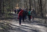 Wiarusy ze Szczecinka organizują rajd "Leśne ścieżki". Można się zapisywać 