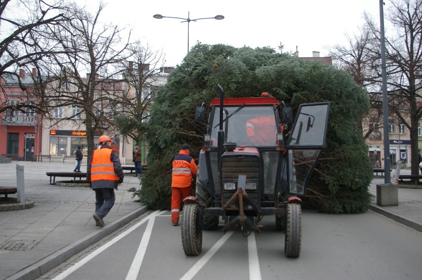 Takiej choinki Gorlice jeszcze nie miały.