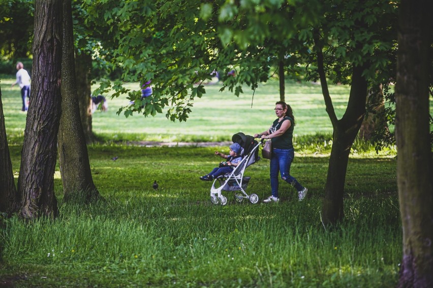 Park Kachla to jedno z ulubionych miejsc wypoczynku bytomian